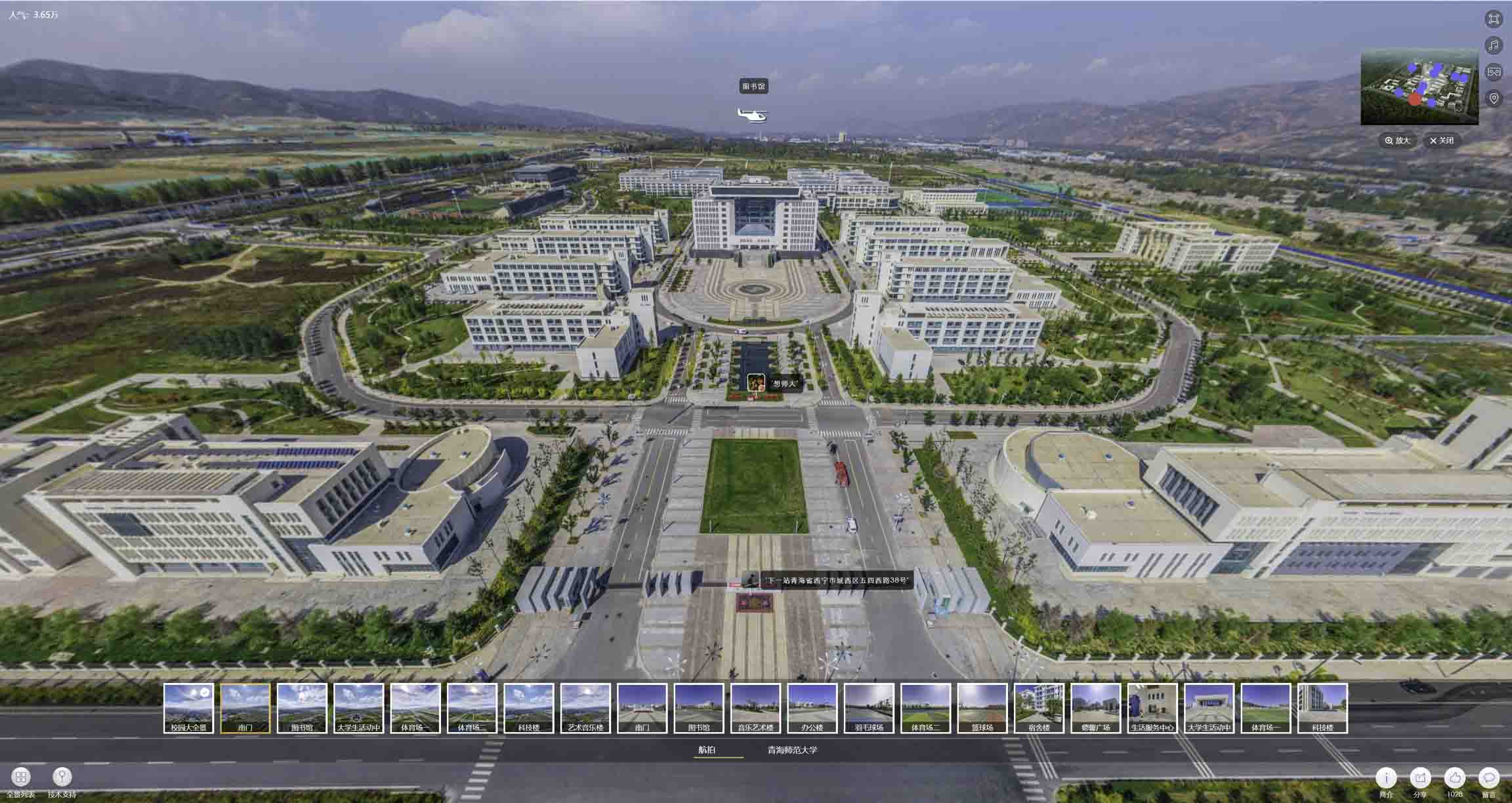 新会油菜花-惊艳半生的花海仙境